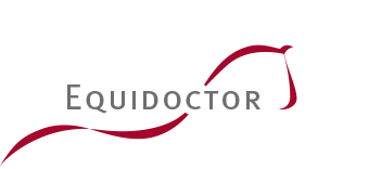 Logo Tierarzt Aschenbrenner Equidocotor Equidoctor Markus Aschenbrenner