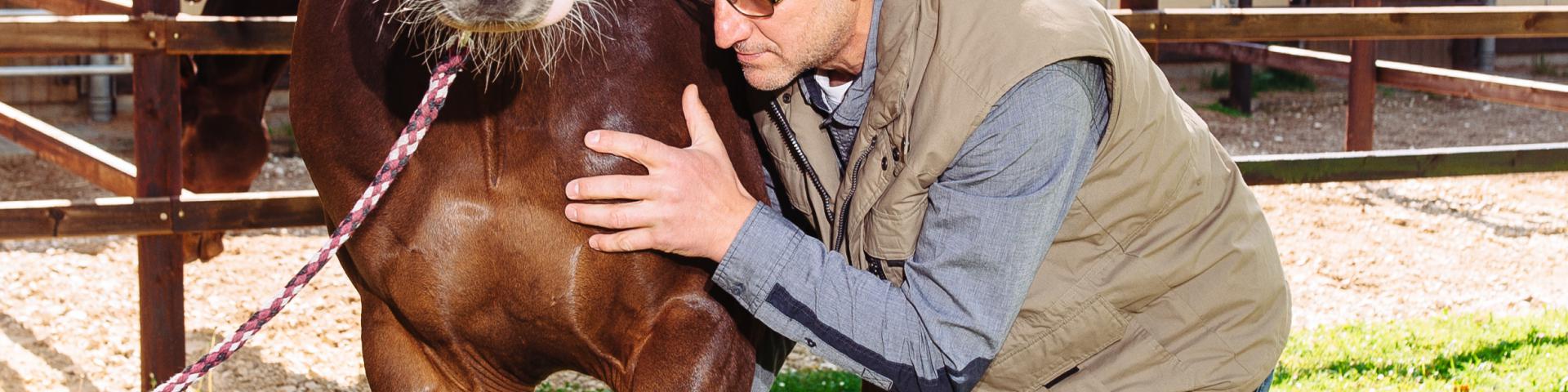 Startbild Equidoctor Komple­mentär­medi­zin