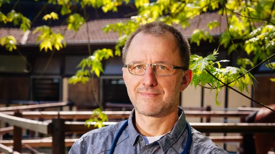 Link Dr. Markus Aschenbrenner, Ihr Fachtierarzt für Pferde