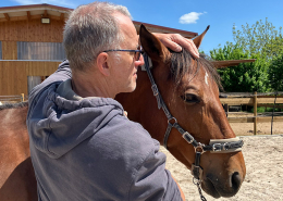 Foto Behandlung Osteopathie Equidoctor