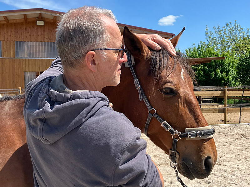 Foto Behandlung Osteopathie Equidoctor