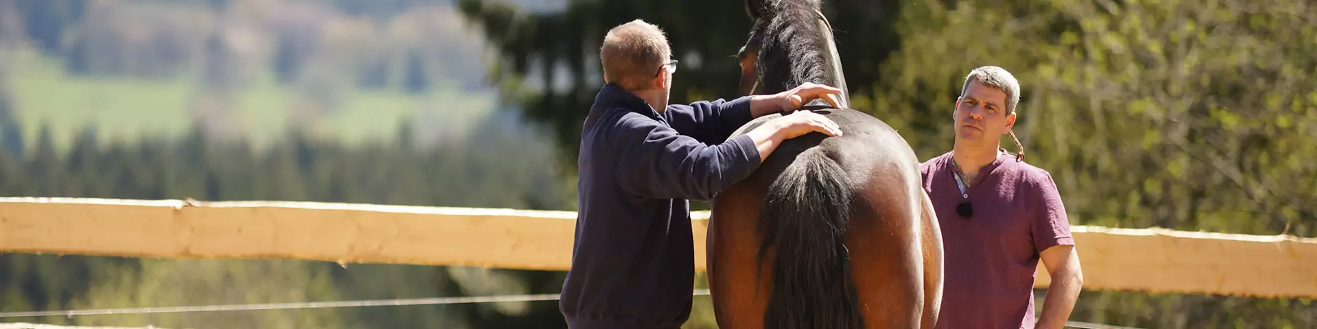 Equidoctor Markus Aschenbrenner und Pferdeprofi Bernd Hackl am Pferd Equidoctor Markus Aschenbrenner und Pferdeprofi Bernd Hackl am Pferd als Startbild der Seite Die Pferdeprofis und 7P-Ranch-Talk