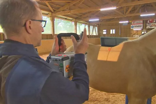 Tierarzt Markus Aschenbrenner röngt den Rücken von Spanier-Wallach Sol Bild aus die Pferdeprofis, Spanier-Wallach Sol (Staffel 6, Folge 8)