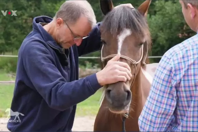 Tierarzt Markus Aschenbrenner behandelt Stute Blümchen, damit sie zukünftig wieder geritten werden kann. Bild aus die Pferdeprofis, Blümchen (Staffel 7, Folge 1)