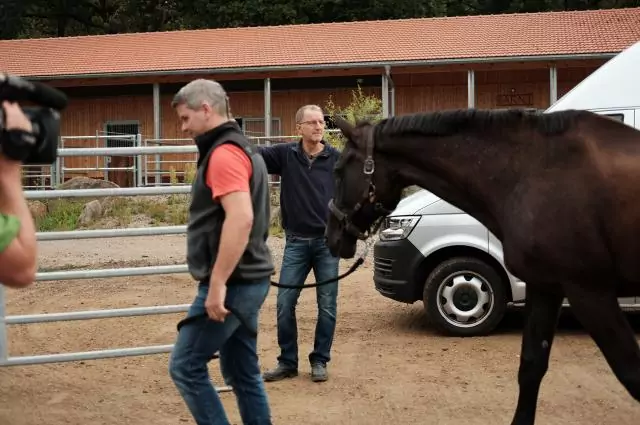 Pferd und Trainer betreten den Rounpen. Bild aus die Pferdeprofis, Warmlut Stute "Flocke" (Staffel 8, Folge 6)