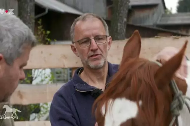 Markus Aschenbrenner wendet manuelle Therapie bei Stute Woopie an. Bild aus die Pferdeprofis, Woopie, der Giftzwerg (Staffel 9, Folge 5)