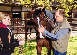 Behandlung mit Osteopathie