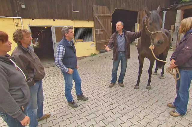 Im Rahmen der Vox-Doku die Pferdeprofis wird nach einem Grund für die Schwierigkeiten beim Reiten der Stute gesucht. Bild aus die Pferdeprofis Stute Future (Staffel 3, Folge 2)