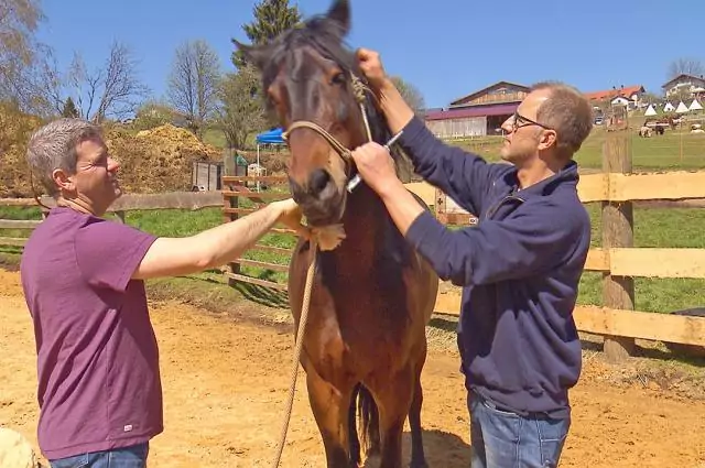 Im Rahmen der Vox-Doku die Pferdeprofis behandelt Tierarzt Markus Aschenbrenner ein Pferd. Bild aus die Pferdeprofis, Shadow, (Staffel 5, Folge 1)